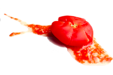 Tomate